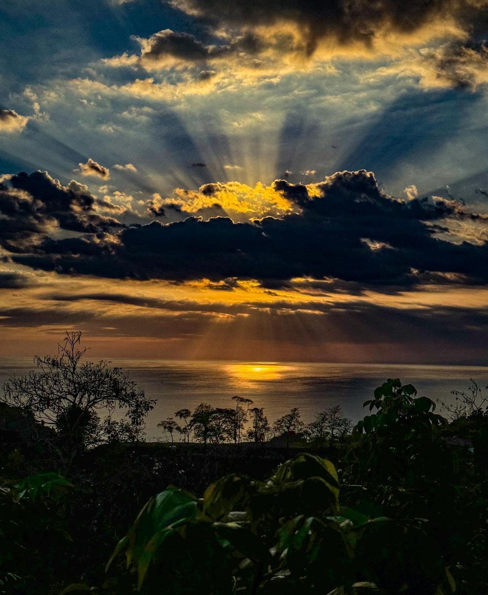 Pura Natura Lodge Manuel Antonio Exterior photo